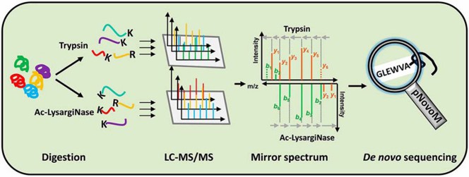 Fig. 1. The process of peptide de novo sequencing by mass spectrometry.